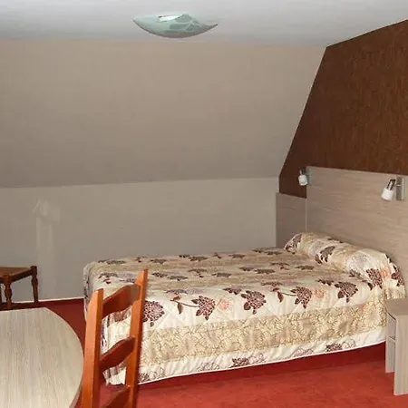 Hotel Restaurant Au Parc Des Cigognes Kintzheim