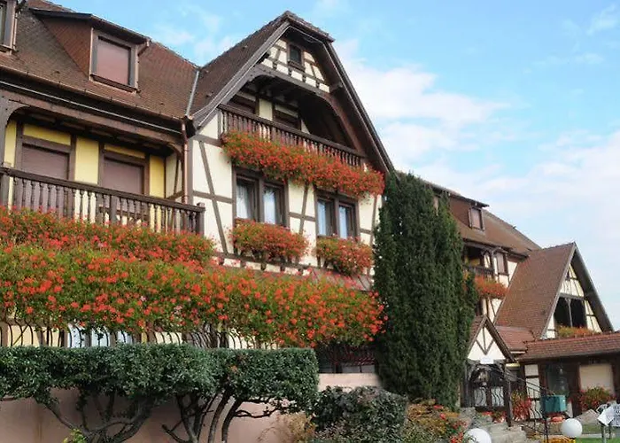 Restaurant Au Parc Des Cigognes Hotel