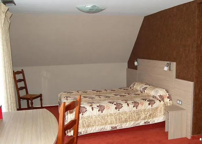 Hotel Restaurant Au Parc Des Cigognes Kintzheim