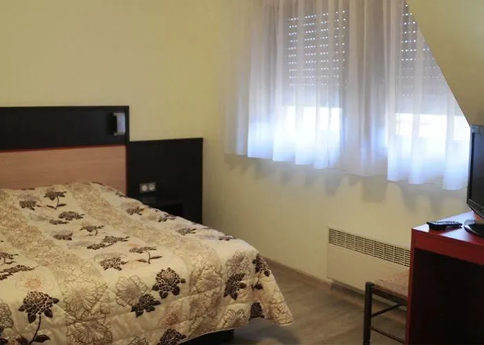 Restaurant Au Parc Des Cigognes 2* Kintzheim